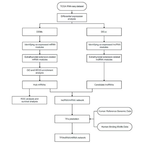 Flowchart TCGA 的图像结果