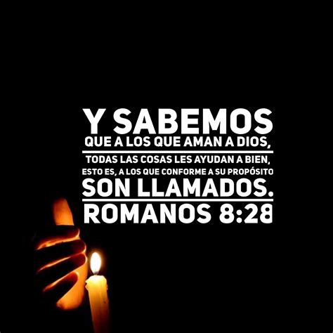 Romanos 8:28 | Romanos 8 28, Palabra de vida y Romanos 8