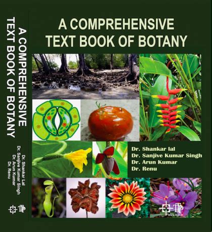 A Comprehensive Textbook of Botany: Foundations and Advances