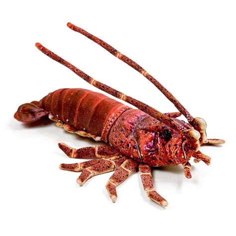 seacaught | fresh seafood fish | Mumbai, Maharashtra, India