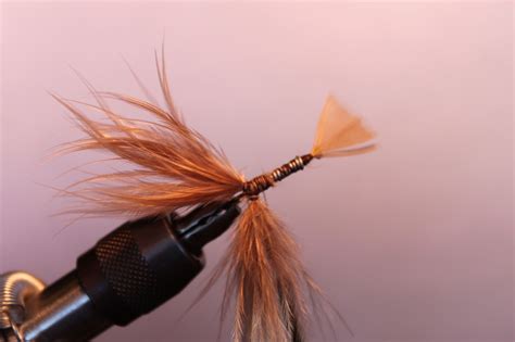 Image result for Simple Crayfish Pattern