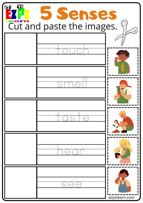Five Senses Worksheets For Kindergarten