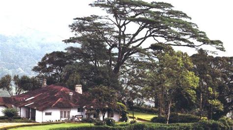 Buffer zone issue: CM makes urgent intervention, map that excludes ...