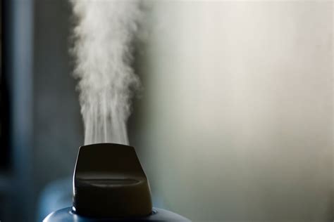 Humidifier 的图像结果