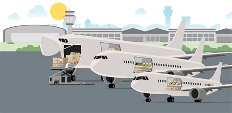 A Shipper’s Guide to Air Cargo Types - DHL Global Forwarding - India