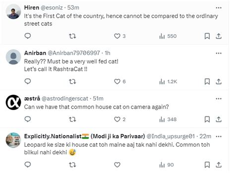 Viral Video: Netizens Spot 'Wild Animal' During Oath Taking Ceremony At ...