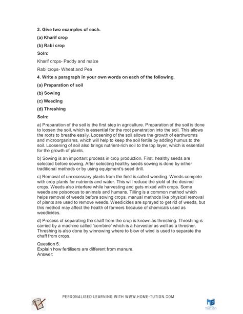 Image result for Class 8 Science Chapter 1 Flow Chart