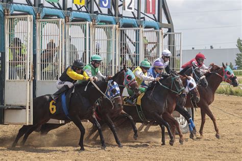Fargo horse track sets records with 2024 season - InForum | Fargo ...