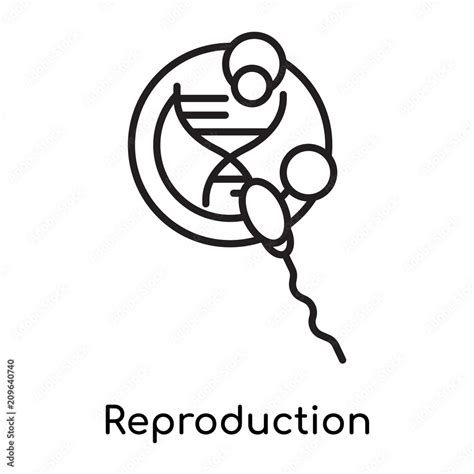 Image result for Reproduction Stock Images