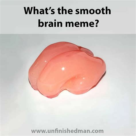 The Smooth Brain Meme: Everything You Need To Know