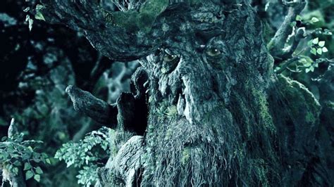 Image result for Treebeard Wallpaper