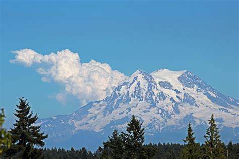 What will happen to my Olympia WA home if Mount Rainier erupts?