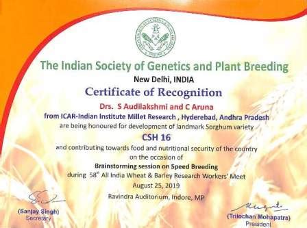 Indian Institute of Millets Research (IIMR)