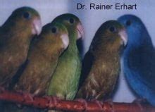 Image result for Knowledge Eliciation Computer Science