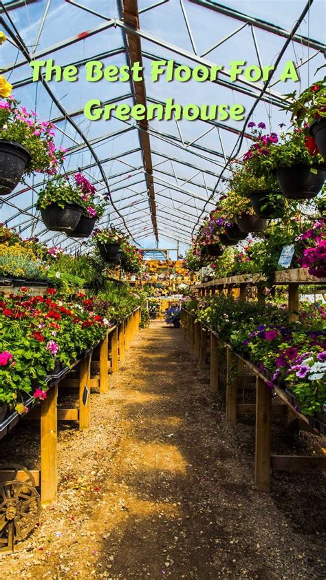 What S The Best Flooring For A Greenhouse at Jared Harper blog