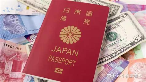 2024 越南签证 – 照片和护照副本上载要求 - 越南电子签证 - 越南落地签证 2024