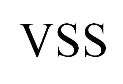 vss（缩写解释） - 搜狗百科