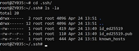 Image result for What Is SSH Key