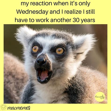 Wednesday Funny Work Meme WORK MEMES