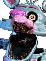 Image result for What Is Spring Foxy Main Colors