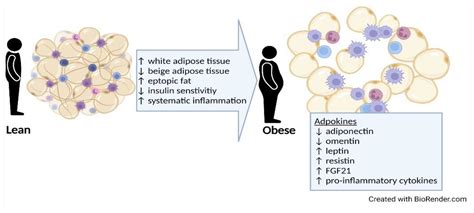 Obesity, Weight Loss, Lifestyle Interventions, and Autosomal Dominant ...