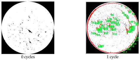 Shrinkage Characteristics and Microstructure Evolution of Yili Loess ...