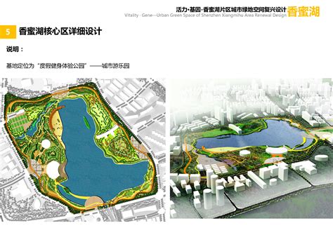 活力·基因——基于UGI理论下的深圳香蜜湖片区城市绿化空间复兴设计_艾景奖官方网站