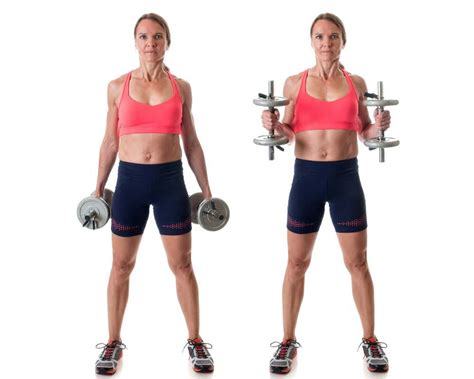 Image result for Exercices Musculation Bras