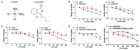 Z-Ligustilide Combined with Cisplatin Reduces PLPP1-Mediated ...
