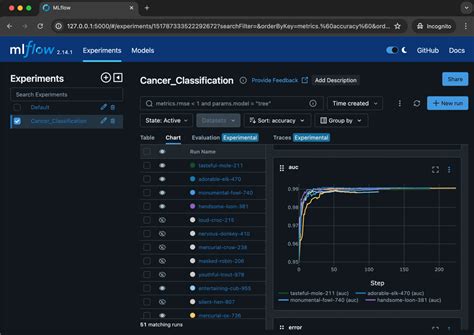 Mlflow Example 的图像结果