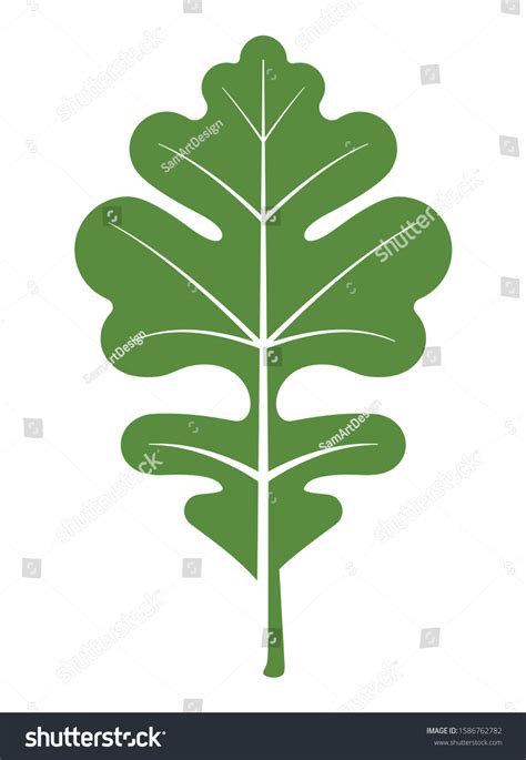 108 Bur Oak Leaf Images, Stock Photos & Vectors | Shutterstock
