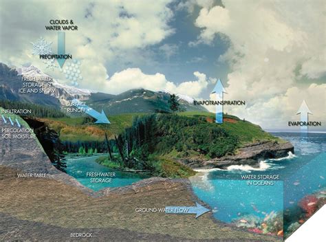Water Cycle Wallpapers - Wallpaper Cave