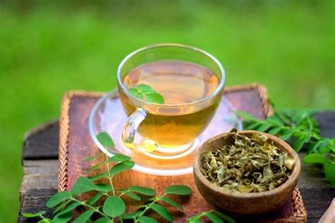 manfaat teh daun kelor untuk wajah