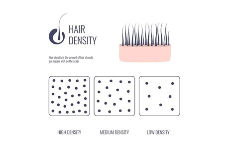 Thick Hair Vs. Thin Hair: What Are the Differences?