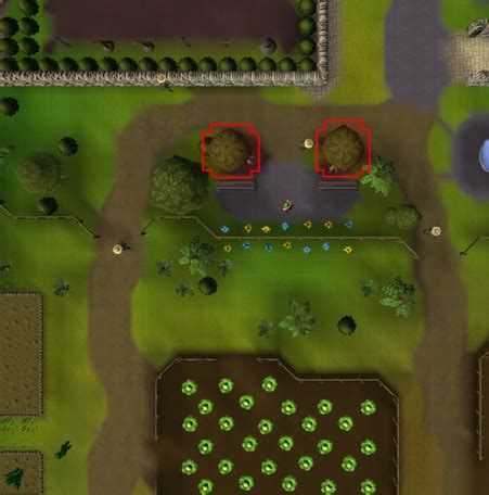 Image result for Old Magic Tree OSRS