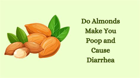 Do Nuts Make You Go To The Toilet at Lisa Cunningham blog