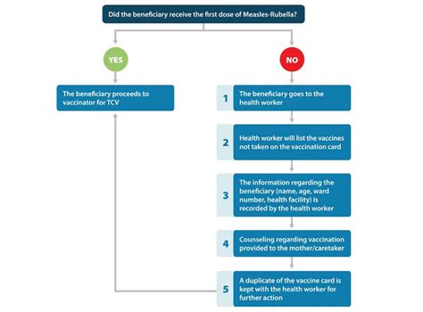 Nepal’s typhoid conjugate vaccine campaign: a catalyst to reach zero ...