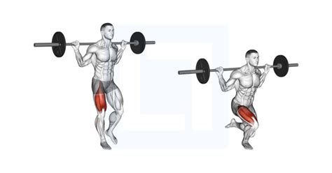 Image result for Squats Using Exercise Ball