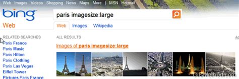 Bing Search Tricks 的图像结果