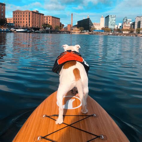 LIVERPOOL SUP CO (2026) All You Need to Know BEFORE You Go (with Photos ...