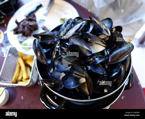 Image result for Mussel Shells Use