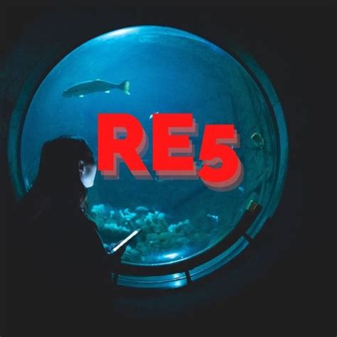 Image result for RE5 Self Study Guide