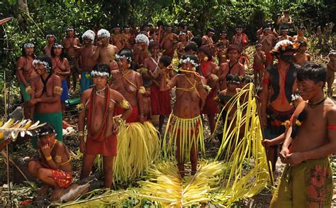 Feast of the Forest: Uncovering the Yanomami Tribe’s Culinary Delights