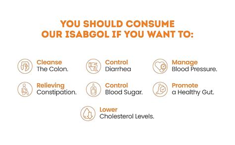 Earthroot Orange Isabgol, Psyllium Husk Powder, 100 g, 100% Natural ...