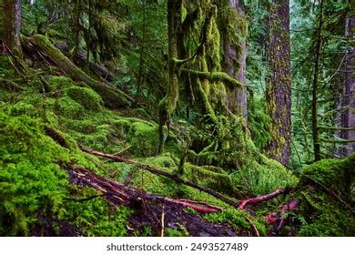 Humid 的图像结果