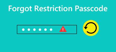 Image result for How to Recover Restrictions Passcode
