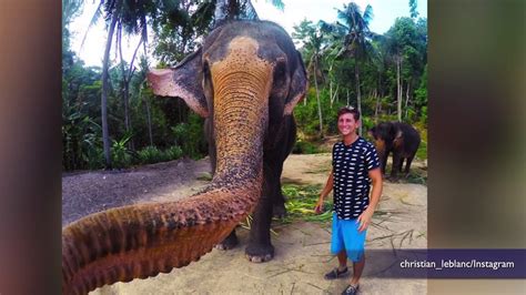 Image result for Elephant GoPro