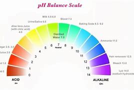 Image result for Acidic