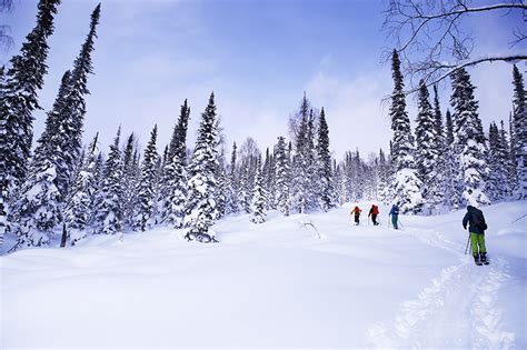 PURE бэккантри в Лужбе | Snow Sense team