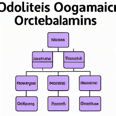 Object Computer Science 的图像结果